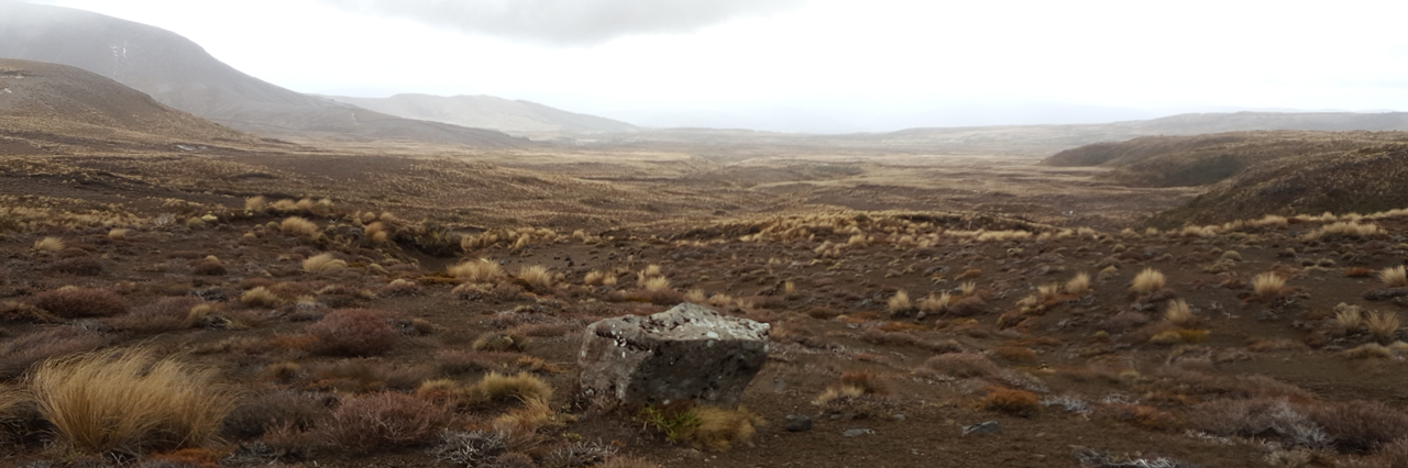 The swweping plains of Tongariro National Park